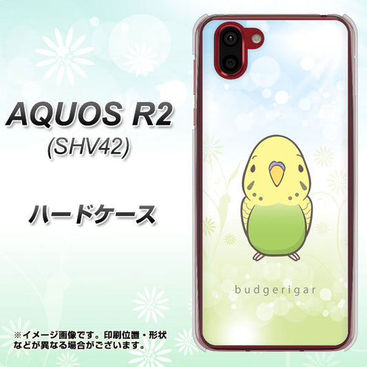 au アクオス R2 SHV42 高画質仕上げ 背面印刷 ハードケース【SC838 セキセイインコ グリーン】
