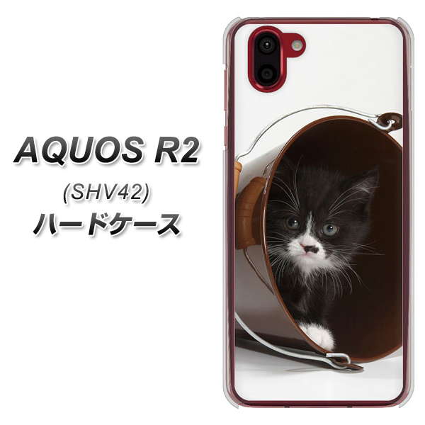 au アクオス R2 SHV42 高画質仕上げ 背面印刷 ハードケース【VA800 ネコとバケツ】