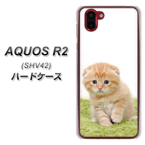 au アクオス R2 SHV42 高画質仕上げ 背面印刷 ハードケース【VA802 ネコこっそり】