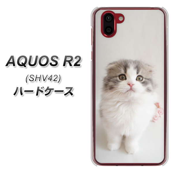 au アクオス R2 SHV42 高画質仕上げ 背面印刷 ハードケース【VA803 まっていますネコ】