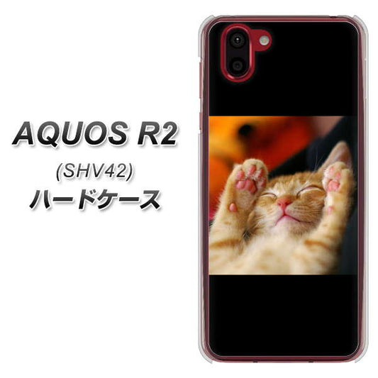 au アクオス R2 SHV42 高画質仕上げ 背面印刷 ハードケース【VA804 爆睡するネコ】