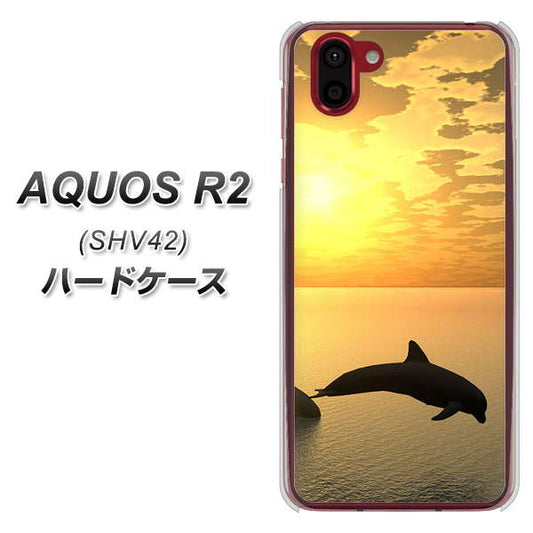 au アクオス R2 SHV42 高画質仕上げ 背面印刷 ハードケース【VA845 夕暮れのドルフィン】