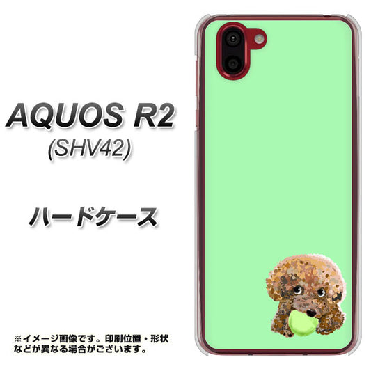 au アクオス R2 SHV42 高画質仕上げ 背面印刷 ハードケース【YJ055 トイプードル&ボール(グリーン)】