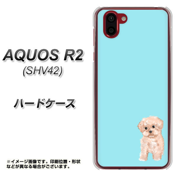au アクオス R2 SHV42 高画質仕上げ 背面印刷 ハードケース【YJ062 トイプードルアプリコット(ブルー)】