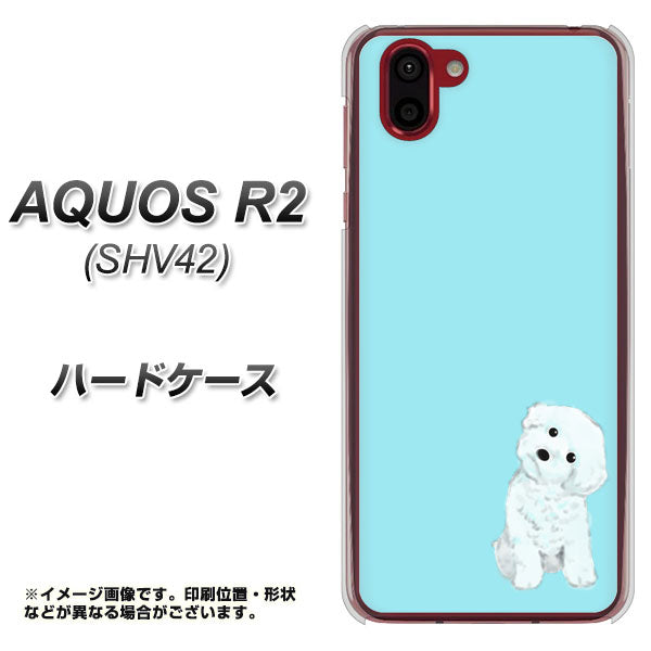 au アクオス R2 SHV42 高画質仕上げ 背面印刷 ハードケース【YJ070 トイプードルホワイト(ブルー)】
