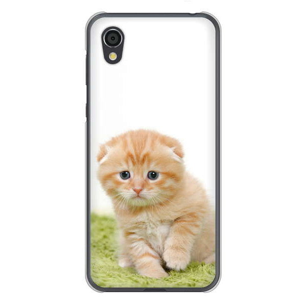 AQUOS sense2 SHV43 au 高画質仕上げ 背面印刷 ハードケース 【VA802 ネコこっそり】