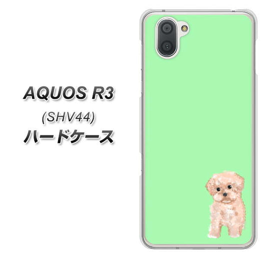 au アクオス R3 SHV44 高画質仕上げ 背面印刷 ハードケース【YJ063 トイプードルアプリコット(グリーン)】