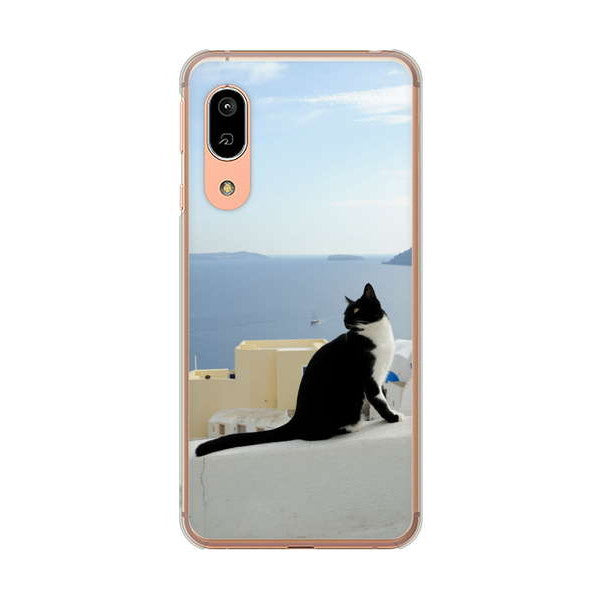 AQUOS sense3 SHV45 au 高画質仕上げ 背面印刷 ハードケース 【VA805 ネコと地中海】