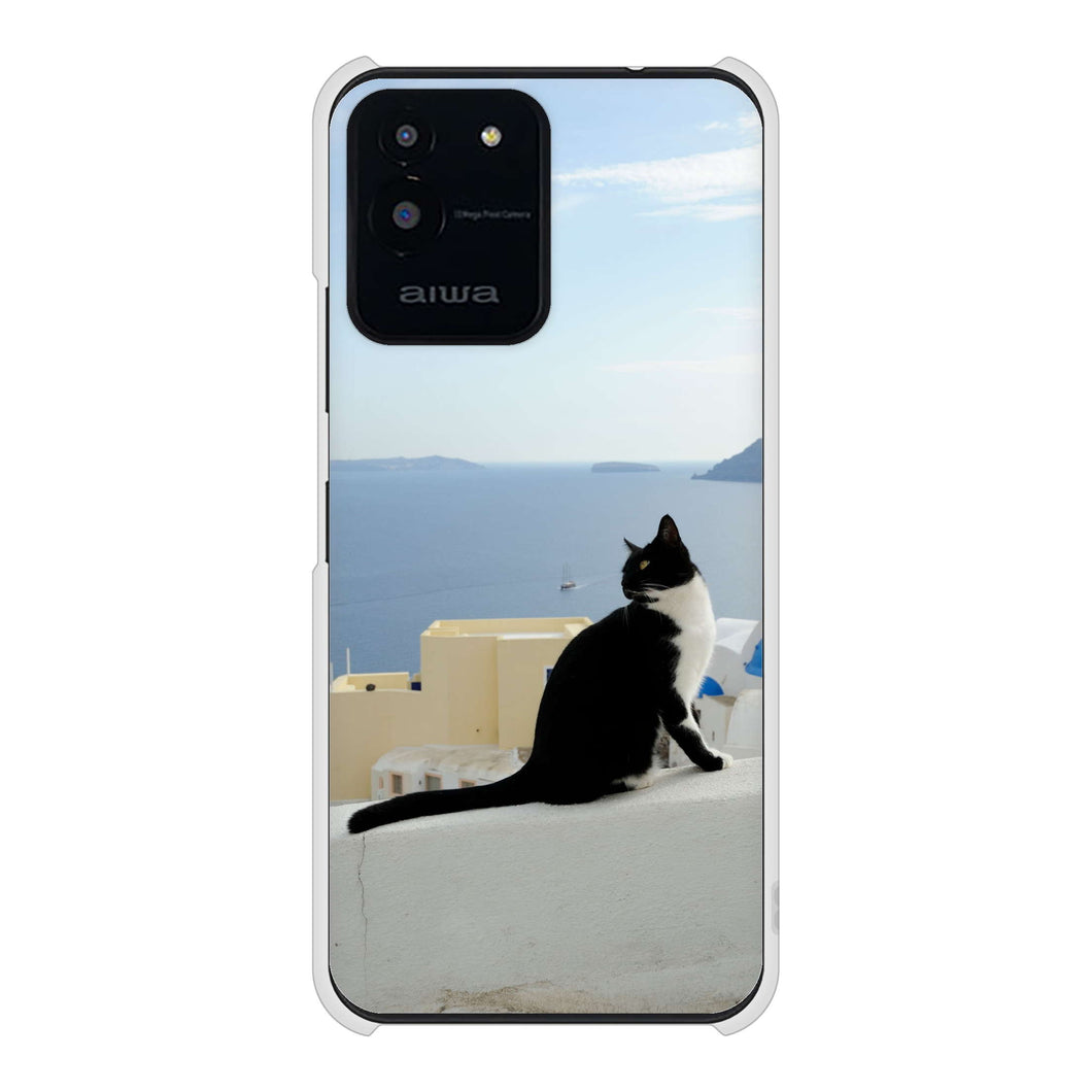aiwa JA2-SMP0601 高画質仕上げ 背面印刷 ハードケース 【VA805 ネコと地中海】