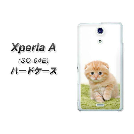 docomo エクスペリアA(エース)SO-04E 高画質仕上げ 背面印刷 ハードケース【VA802 ネコこっそり】