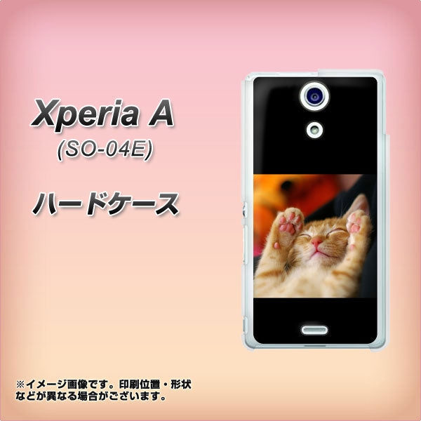 docomo エクスペリアA(エース)SO-04E 高画質仕上げ 背面印刷 ハードケース【VA804 爆睡するネコ】