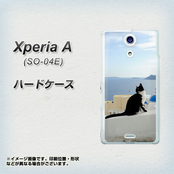 docomo エクスペリアA(エース)SO-04E 高画質仕上げ 背面印刷 ハードケース【VA805 ネコと地中海】