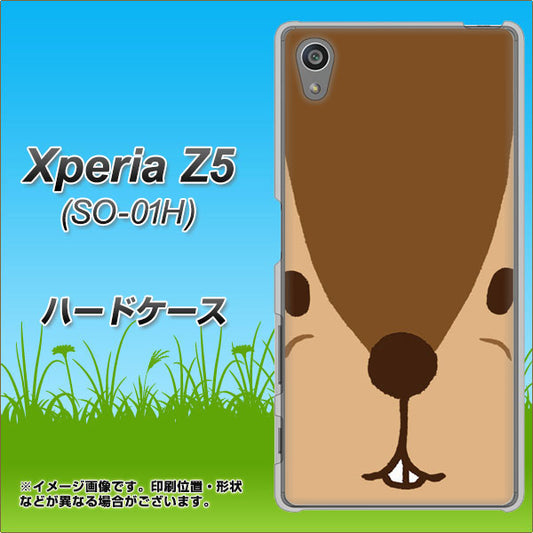 docomo エクスペリアZ5 SO-01H 高画質仕上げ 背面印刷 ハードケース【349 りす】
