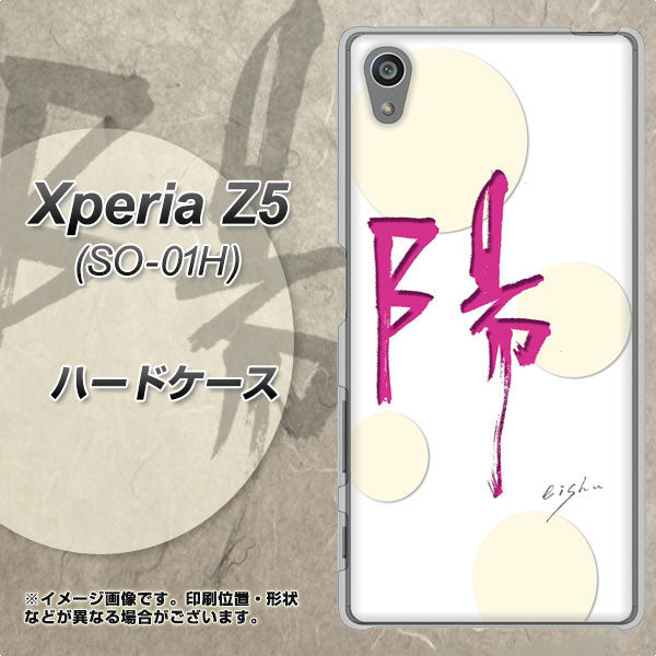 docomo エクスペリアZ5 SO-01H 高画質仕上げ 背面印刷 ハードケース【OE833 陽】