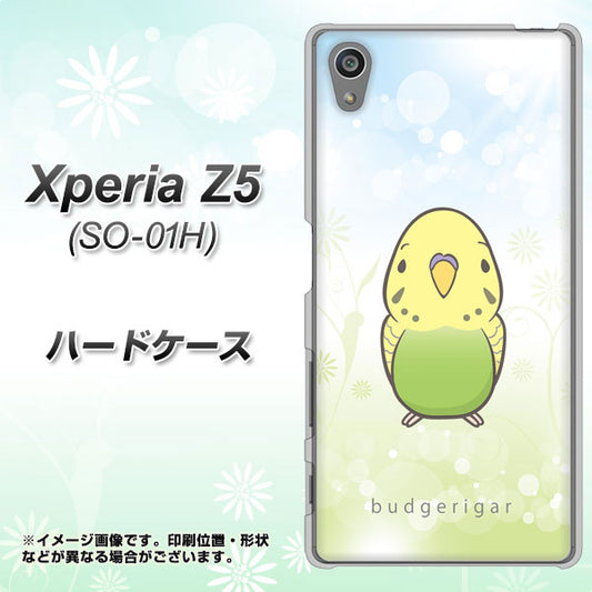 docomo エクスペリアZ5 SO-01H 高画質仕上げ 背面印刷 ハードケース【SC838 セキセイインコ グリーン】