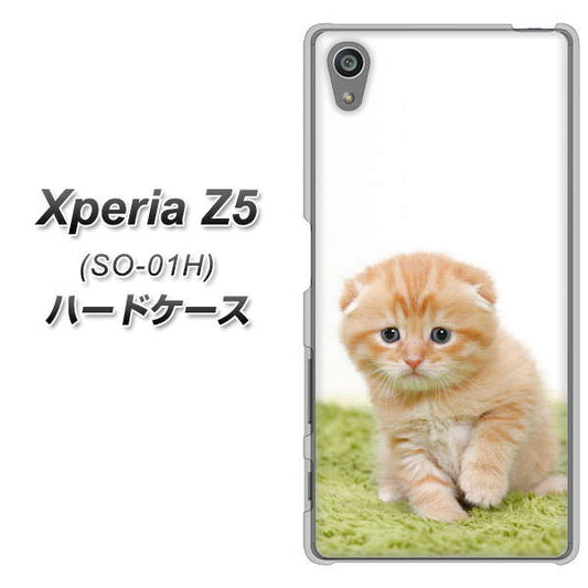 docomo エクスペリアZ5 SO-01H 高画質仕上げ 背面印刷 ハードケース【VA802 ネコこっそり】