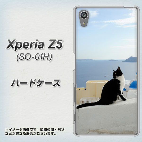 docomo エクスペリアZ5 SO-01H 高画質仕上げ 背面印刷 ハードケース【VA805 ネコと地中海】