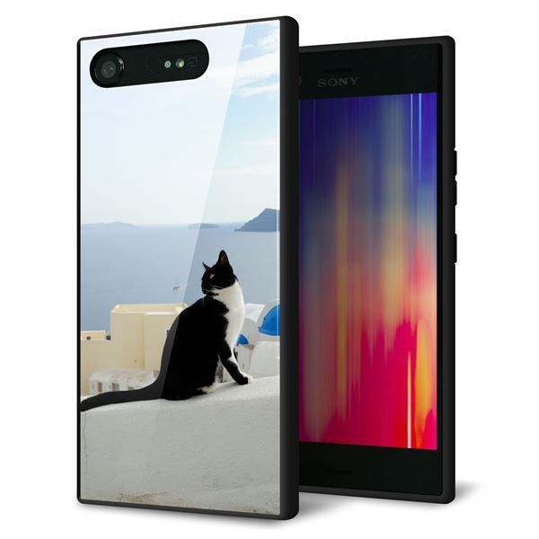 docomo エクスペリアXZ1 SO-01K 強化ガラス&TPUスマホケース ガラプリ【VA805 ネコと地中海】
