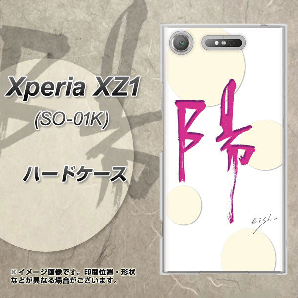 docomo エクスペリアXZ1 SO-01K 高画質仕上げ 背面印刷 ハードケース【OE833 陽】
