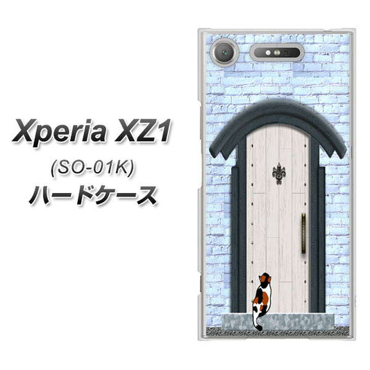 docomo エクスペリアXZ1 SO-01K 高画質仕上げ 背面印刷 ハードケース【YA951 石ドア01】