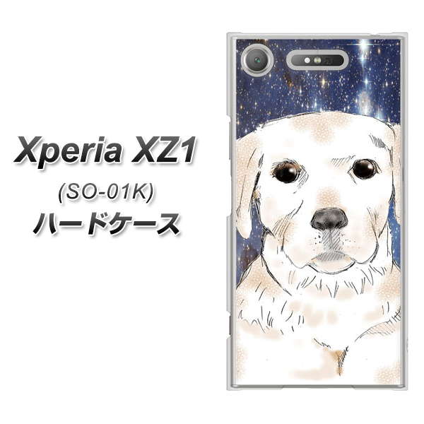 docomo エクスペリアXZ1 SO-01K 高画質仕上げ 背面印刷 ハードケース【YD820 ラブラドールレトリバー01】