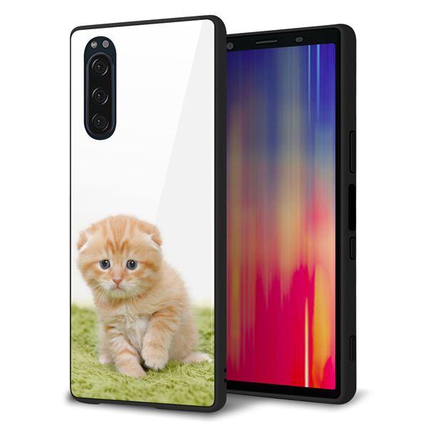 docomo エクスペリア5 SO-01M 強化ガラス&TPUスマホケース ガラプリ【VA802 ネコこっそり】