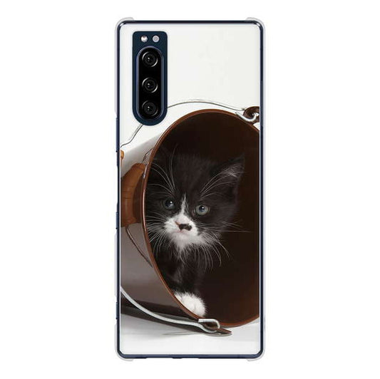 Xperia 5 SO-01M docomo 高画質仕上げ 背面印刷 ハードケース 【VA800 ネコとバケツ】