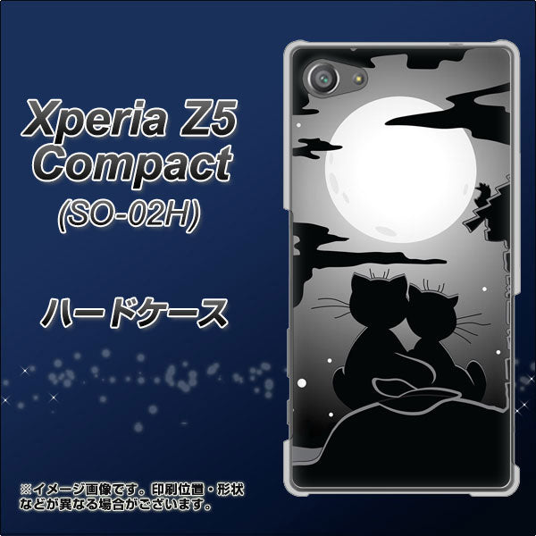 docomo エクスペリアZ5コンパクト SO-02H 高画質仕上げ 背面印刷 ハードケース【342 月夜の二人】