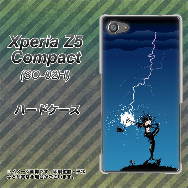 docomo エクスペリアZ5コンパクト SO-02H 高画質仕上げ 背面印刷 ハードケース【417 ゴルファーの苦難】