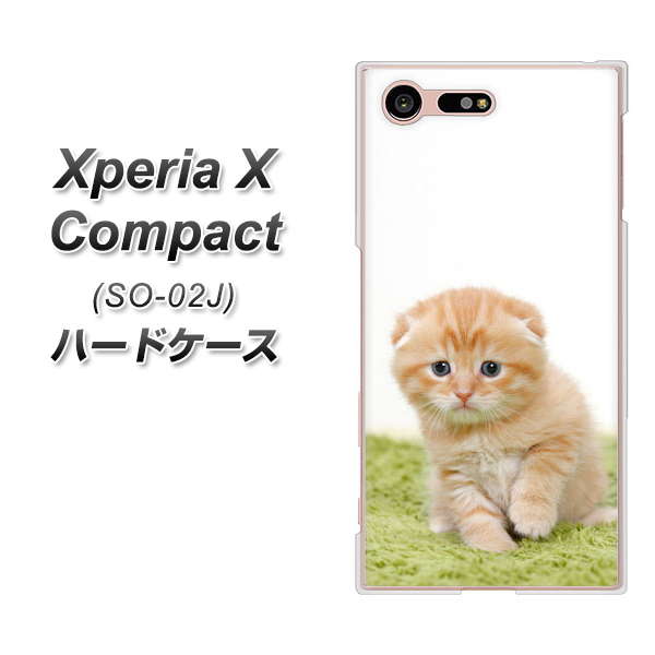 docomo エクスペリアXコンパクト SO-02J 高画質仕上げ 背面印刷 ハードケース【VA802 ネコこっそり】