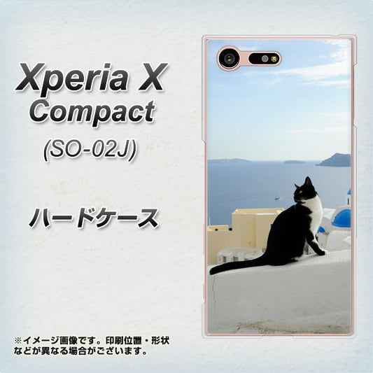 docomo エクスペリアXコンパクト SO-02J 高画質仕上げ 背面印刷 ハードケース【VA805 ネコと地中海】
