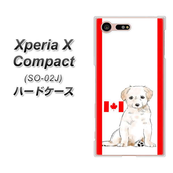 docomo エクスペリアXコンパクト SO-02J 高画質仕上げ 背面印刷 ハードケース【YD824 ラブラドールレトリバー05】