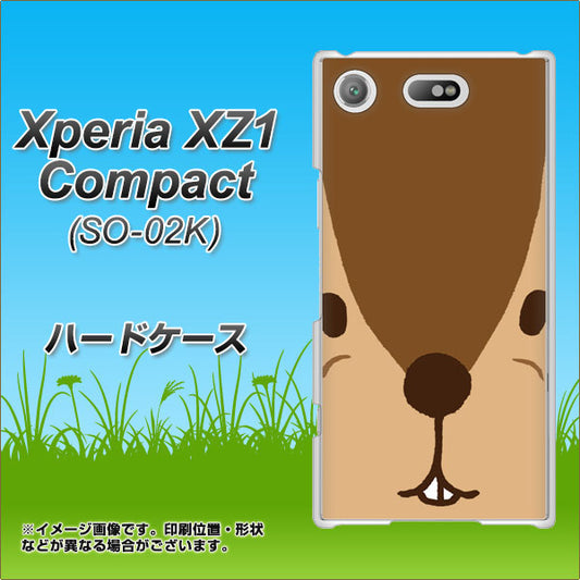 docomo エクスペリアXZ1 コンパクトSO-02K 高画質仕上げ 背面印刷 ハードケース【349 りす】