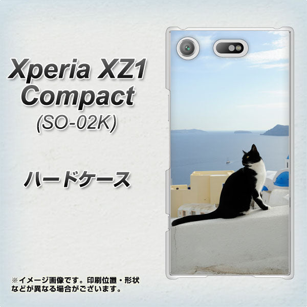 docomo エクスペリアXZ1 コンパクトSO-02K 高画質仕上げ 背面印刷 ハードケース【VA805 ネコと地中海】
