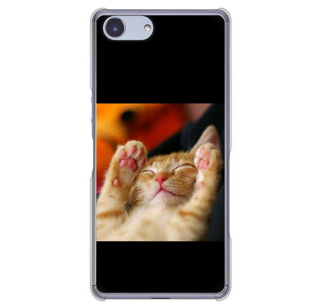 Xperia Ace SO-02L docomo 高画質仕上げ 背面印刷 ハードケース 【VA804 爆睡するネコ】