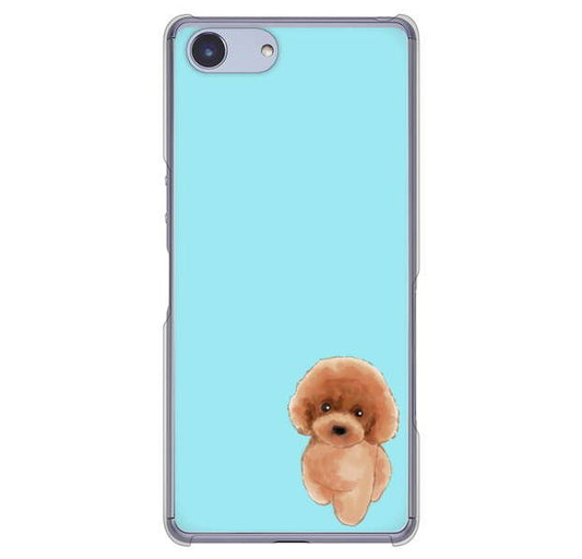 Xperia Ace SO-02L docomo 高画質仕上げ 背面印刷 ハードケース トイプードルレッド