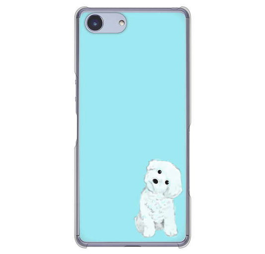 Xperia Ace SO-02L docomo 高画質仕上げ 背面印刷 ハードケース トイプードルホワイト