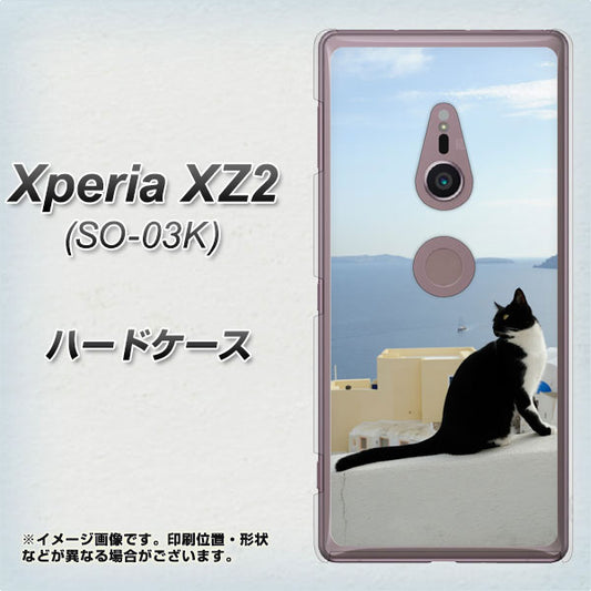 docomo エクスペリア XZ2 SO-03K 高画質仕上げ 背面印刷 ハードケース【VA805 ネコと地中海】