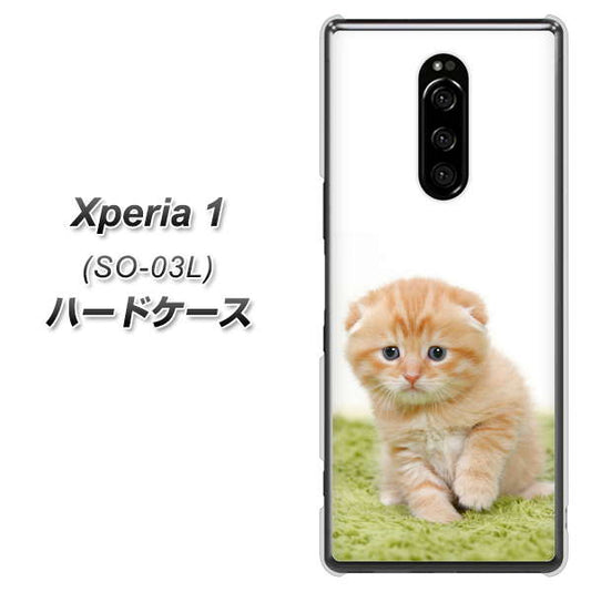 docomo エクスぺリア ワン SO-03L 高画質仕上げ 背面印刷 ハードケース【VA802 ネコこっそり】