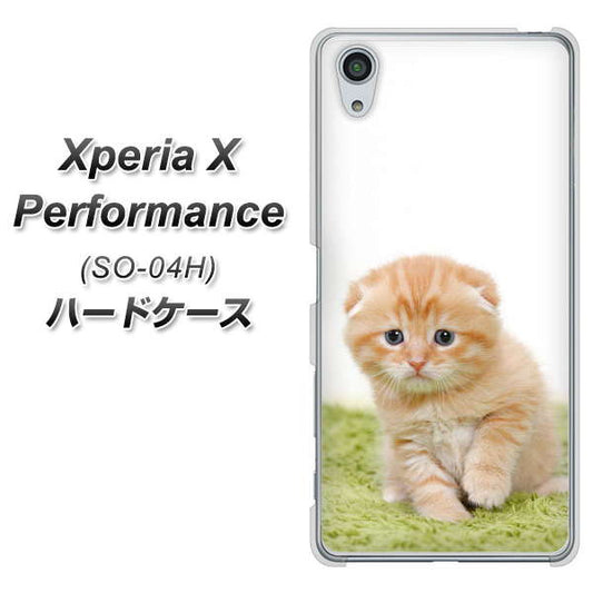 docomo エクスペリアX パフォーマンス SO-04H 高画質仕上げ 背面印刷 ハードケース【VA802 ネコこっそり】