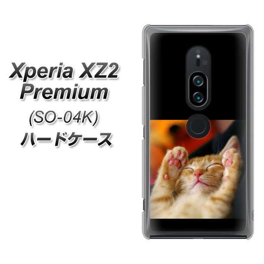 docomo エクスペリア XZ2 プレミアム SO-04K 高画質仕上げ 背面印刷 ハードケース【VA804 爆睡するネコ】