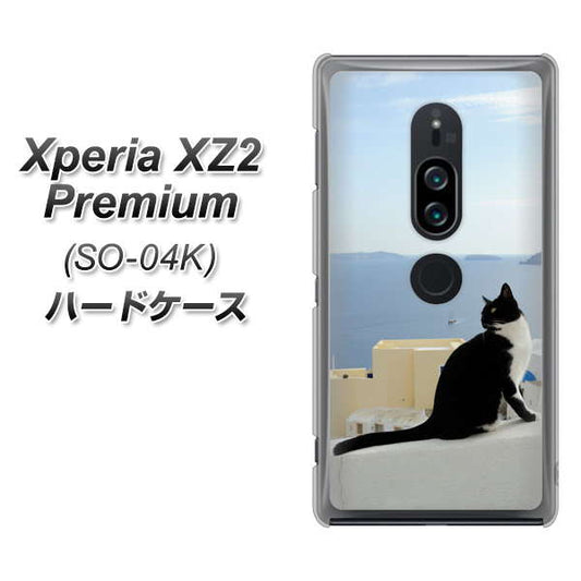 docomo エクスペリア XZ2 プレミアム SO-04K 高画質仕上げ 背面印刷 ハードケース【VA805 ネコと地中海】
