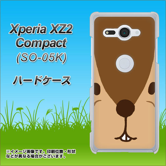 docomo エクスペリア XZ2 コンパクト SO-05K 高画質仕上げ 背面印刷 ハードケース【349 りす】