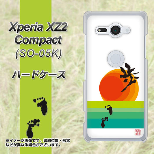 docomo エクスペリア XZ2 コンパクト SO-05K 高画質仕上げ 背面印刷 ハードケース【OE809 歩ム】