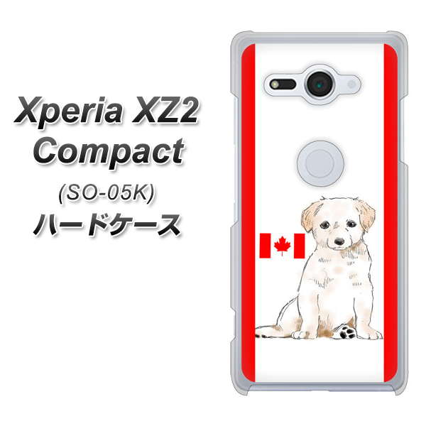 docomo エクスペリア XZ2 コンパクト SO-05K 高画質仕上げ 背面印刷 ハードケース【YD824 ラブラドールレトリバー05】