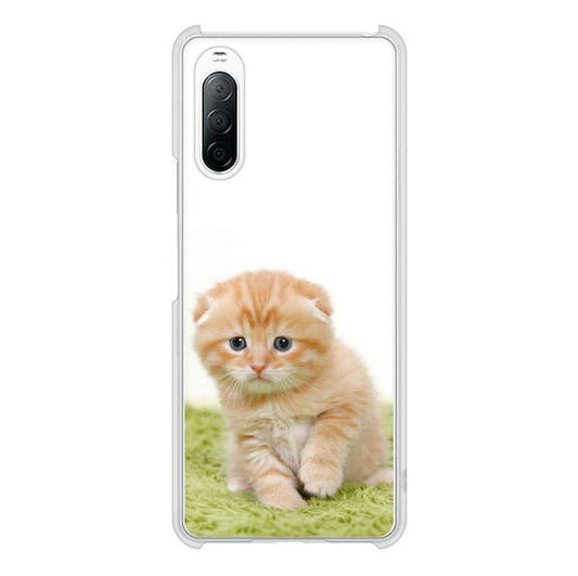 Xperia 10 II SO-41A docomo 高画質仕上げ 背面印刷 ハードケース 【VA802 ネコこっそり】