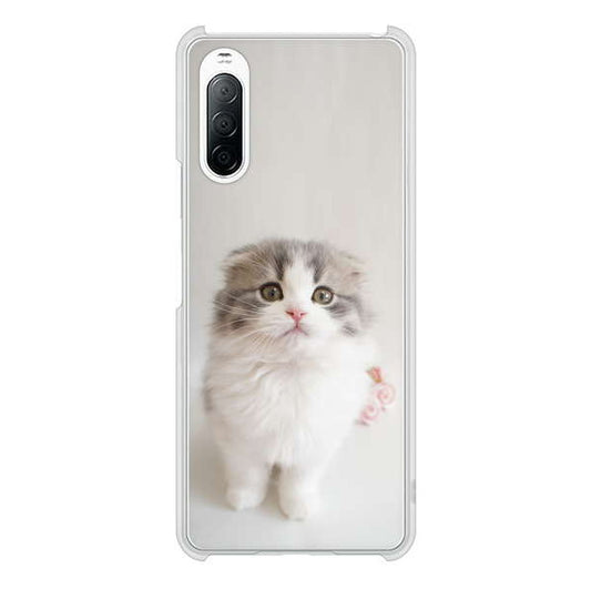 Xperia 10 II SO-41A docomo 高画質仕上げ 背面印刷 ハードケース 【VA803 まっていますネコ】