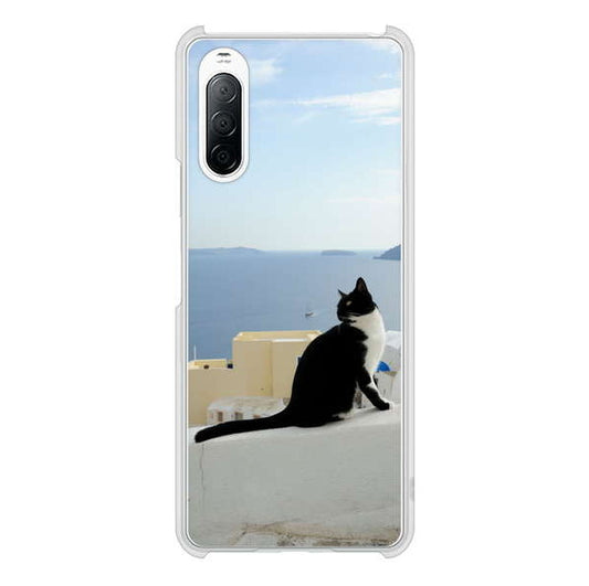 Xperia 10 II SO-41A docomo 高画質仕上げ 背面印刷 ハードケース 【VA805 ネコと地中海】