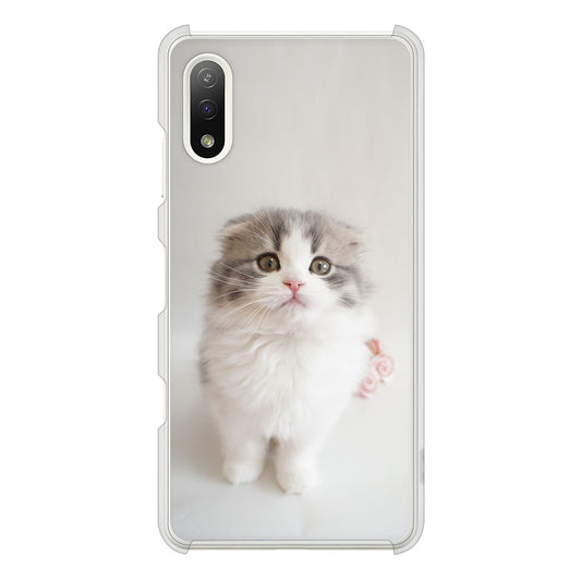 Xperia Ace II SO-41B docomo 高画質仕上げ 背面印刷 ハードケース 【VA803 まっていますネコ】