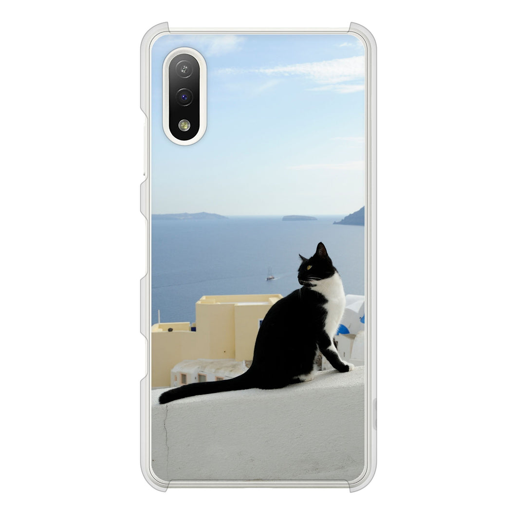 Xperia Ace II SO-41B docomo 高画質仕上げ 背面印刷 ハードケース 【VA805 ネコと地中海】